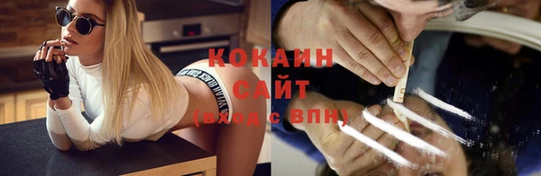 твердый Алексин